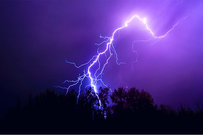 पाँचथरमा चट्याङले लागेर एकै गोठका ५४ वटा भेडा मरे