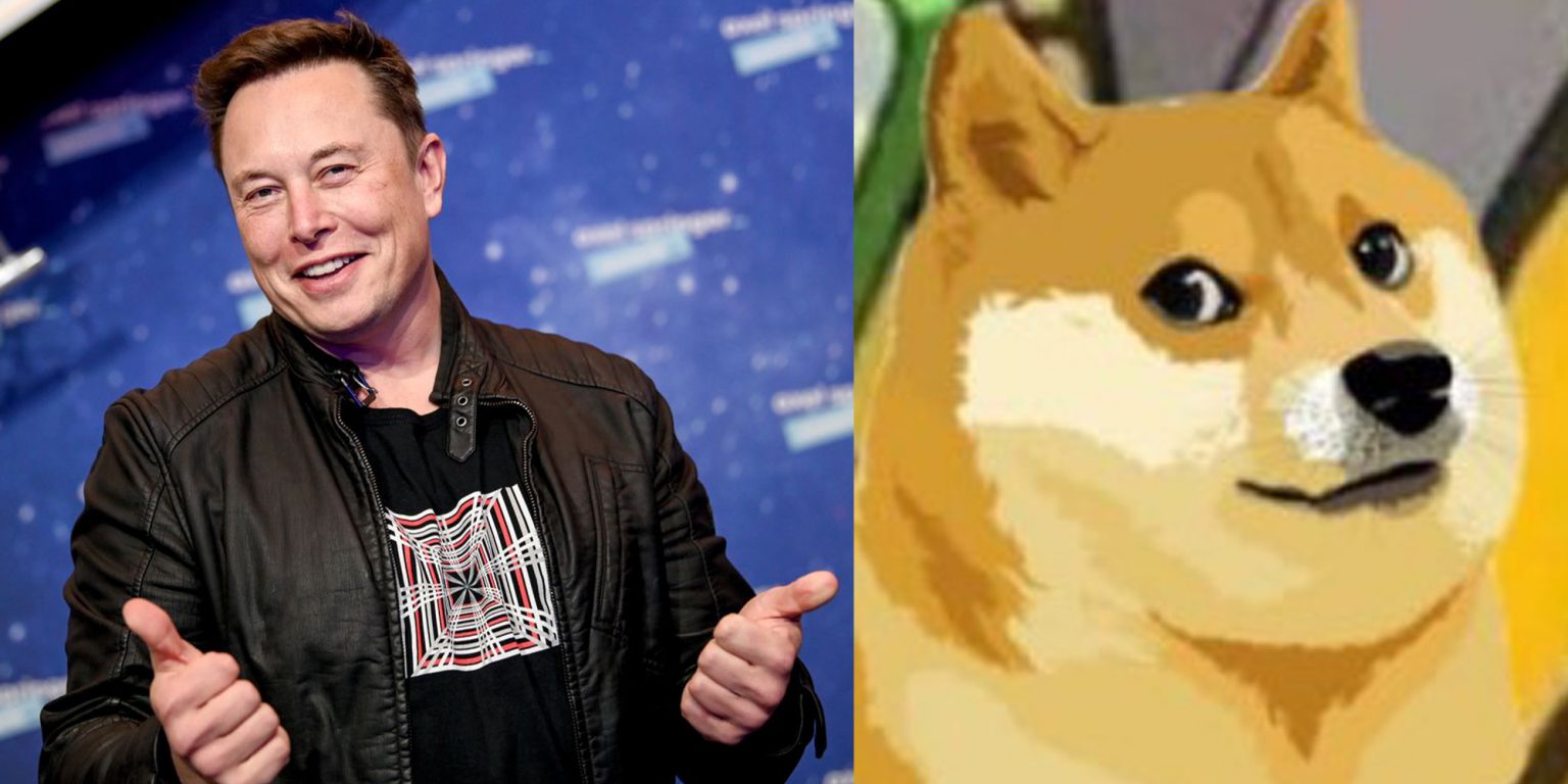 ट्वीटरको लोगो चरा हटाएर कुकुरको लोगोमा परिवर्तन