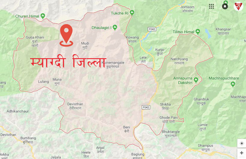 म्याग्दीका कृषकलाई ३३ हजार माछाका भुरा वितरण