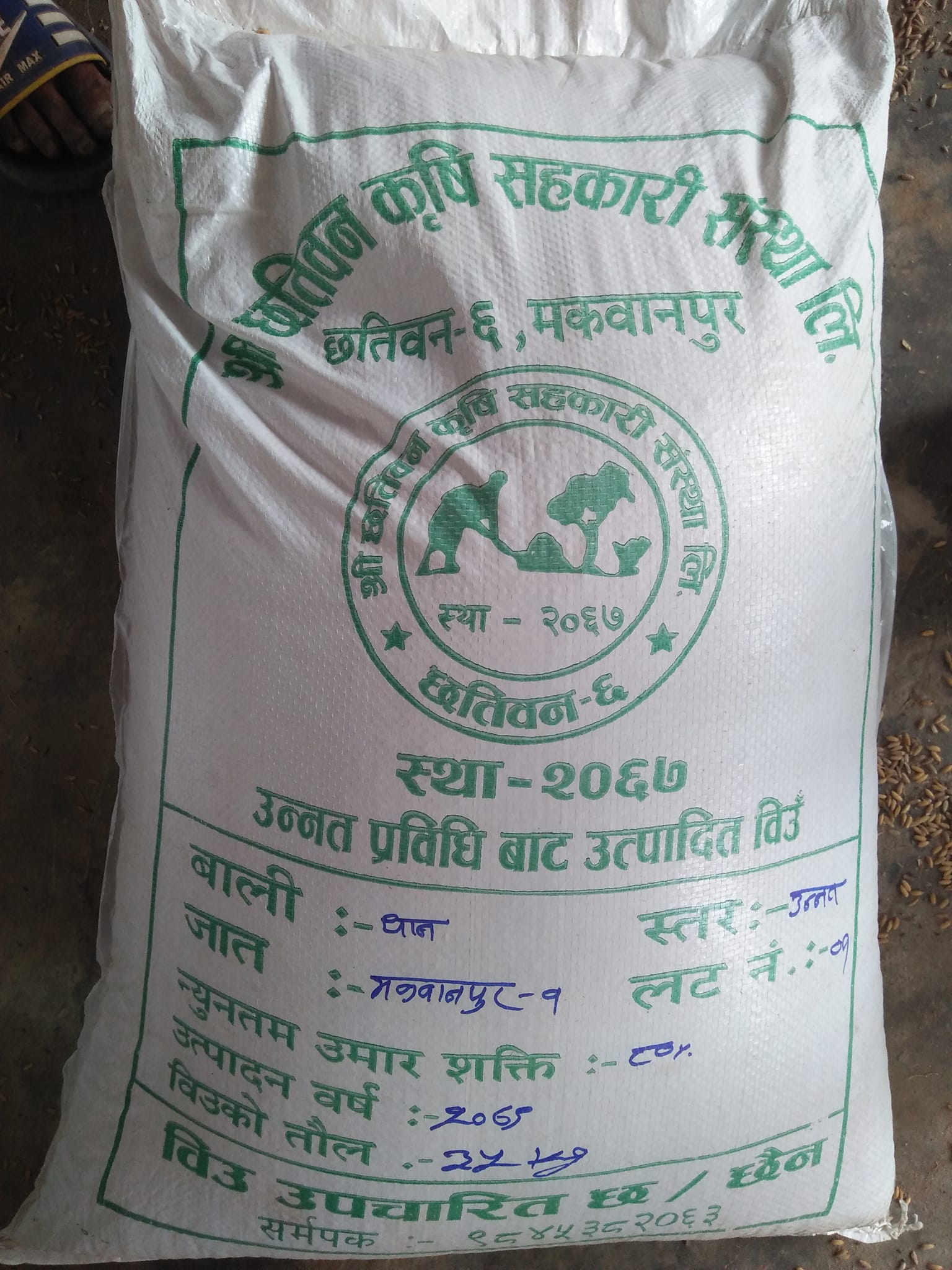 कृषकलाई धानको व्याड राख्ने चटारो