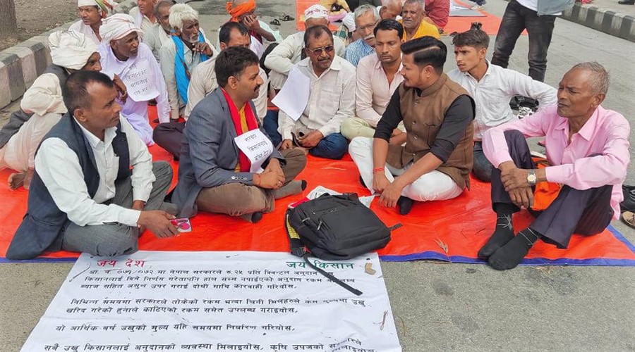 अनुदान नदिएकाे भन्दै उखु किसानहरु ५ दिनदेखि माइतीघर मण्डलामा धर्ना बस्दै