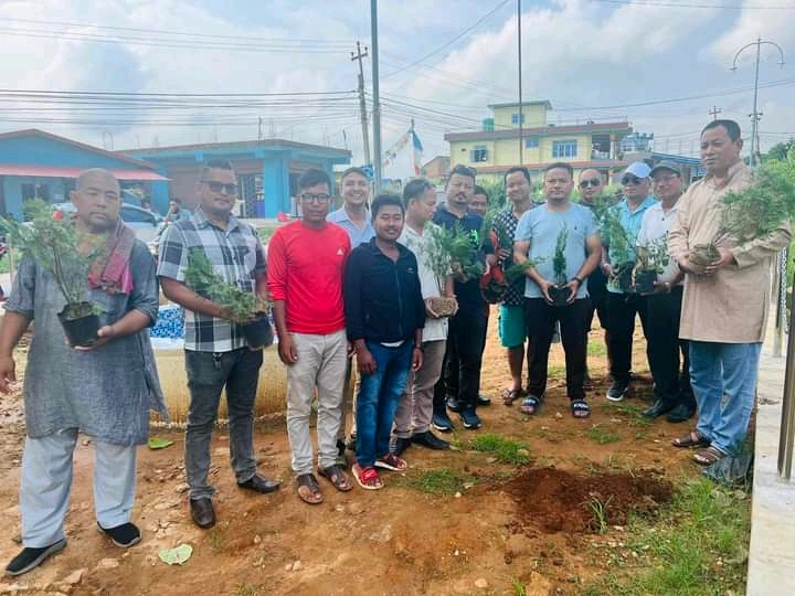 वीपी कोइरालाको ४२ औं स्मृति दिवसको अवसरमा वृक्षरोपण तथा डष्टबिन वितरण कार्यक्रम सम्पन्न