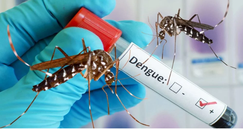 नेपालमा डेङ्गी सङ्क्रमितको सङ्ख्या १० हजार नाघे,अहिलेसम्म ७ जनाले ज्यान गुमाए