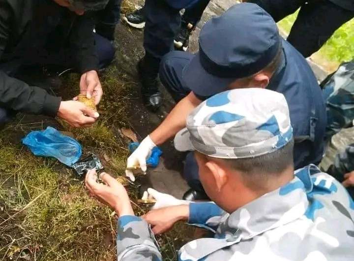 दोलखामा ढुङ्गामाथि झारले छोपेको अवस्थामा थप ४ केजी सुन भेटियो