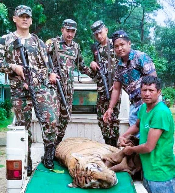 बारामा मानव हत्या गर्ने बाघ नियन्त्रणमा, स्थानीयवासीले माने राहत