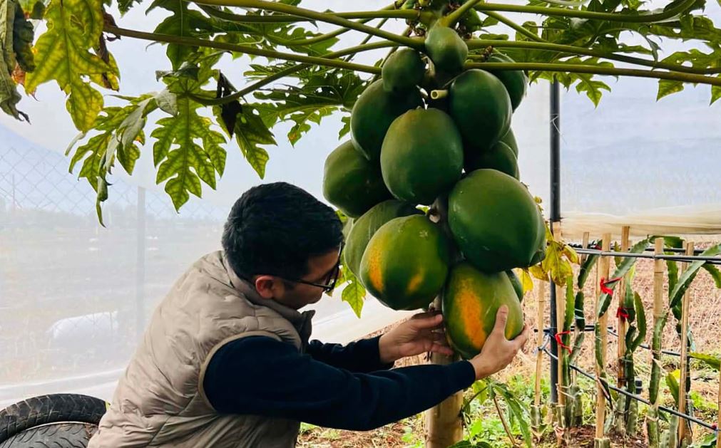 हेटौंडामा आधुनिक फलफूल खेतीको विस्तार: मेवा र ड्रागन फ्रुटबाट आर्थिक उन्नतिको नयाँ आधार