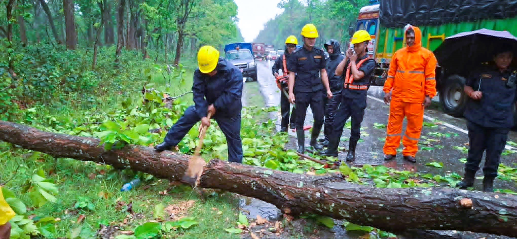 हावाहुरी र वर्षाले चितवनमा रुख ढलेर सडक अवरुद्ध, प्रहरीको सक्रियतामा आवागमन पुनः सञ्चालन